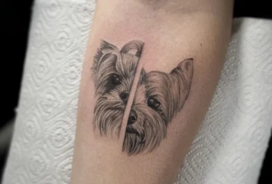 тату-салон dom30 фото 17 - tattooo.ru