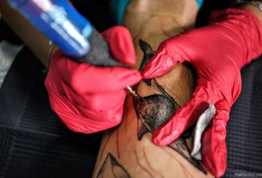 тату-студия алины евдокимовой фото 18 - tattooo.ru